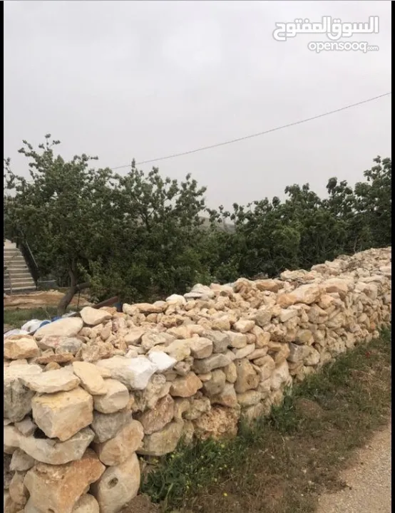 منزل منعزل مع حديقة فواكه 3 غرف صاله مجلس بلكون مطبخ مجهز مواقف سيارات