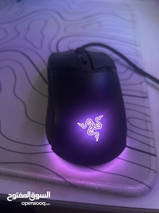 Mouse razor cobra synapse