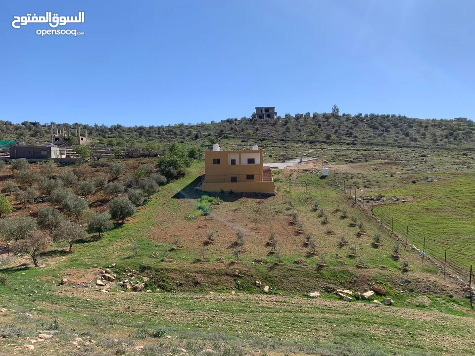 منزل ومزرعة للبيع في منطقة المريجمة-مادبا