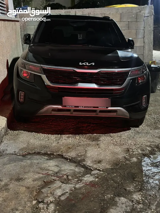 كايا سيلتوس