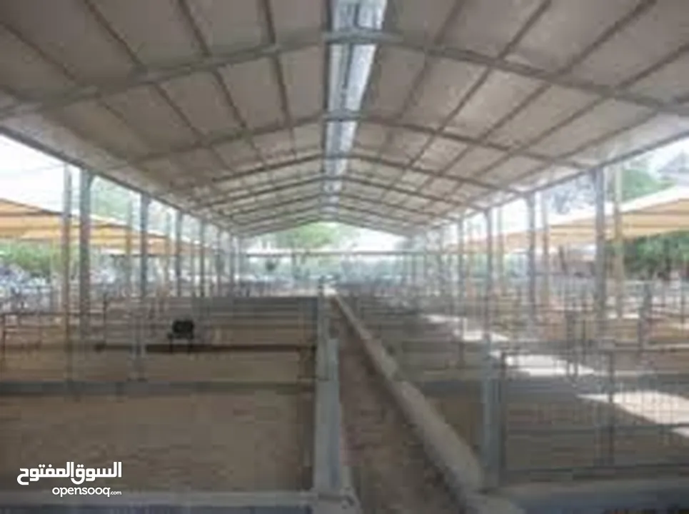 مخازن مساحه 500 متر ويوجد ساحه بالخارج واسعه ويوجد أيضا مساحه 2000متر مربع مسكره لتخزين ان طلب الامر