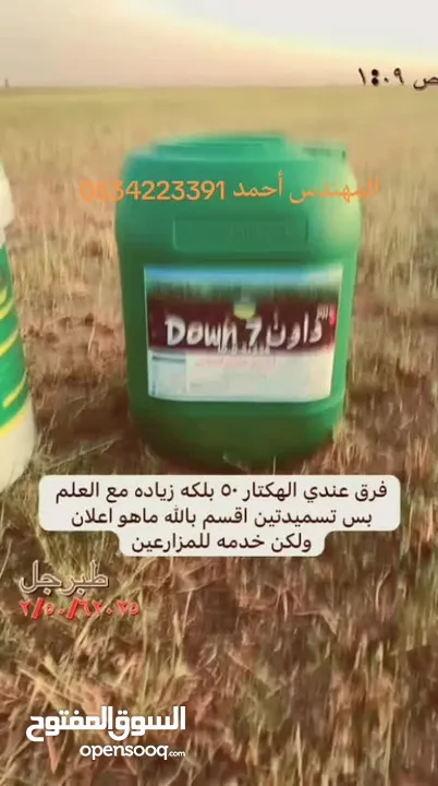 داون سفن مصنع سماد الشمال