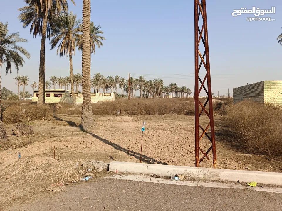 قطعة ارض للبيع حي السلام مقابل  جزيرة بغداد السياحية قرار محكمه سند25 تبليط ماء مجاري كهرباء انترنيت