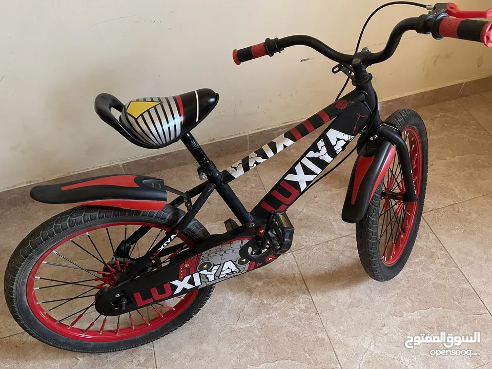 Kids Bicycle for 6-10 years children's