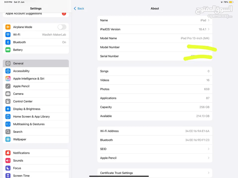 Ipad pro m4 13 inch like new