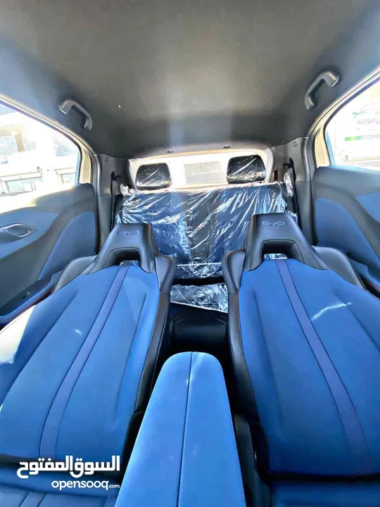 BYD SEAGULL FLYING 2024