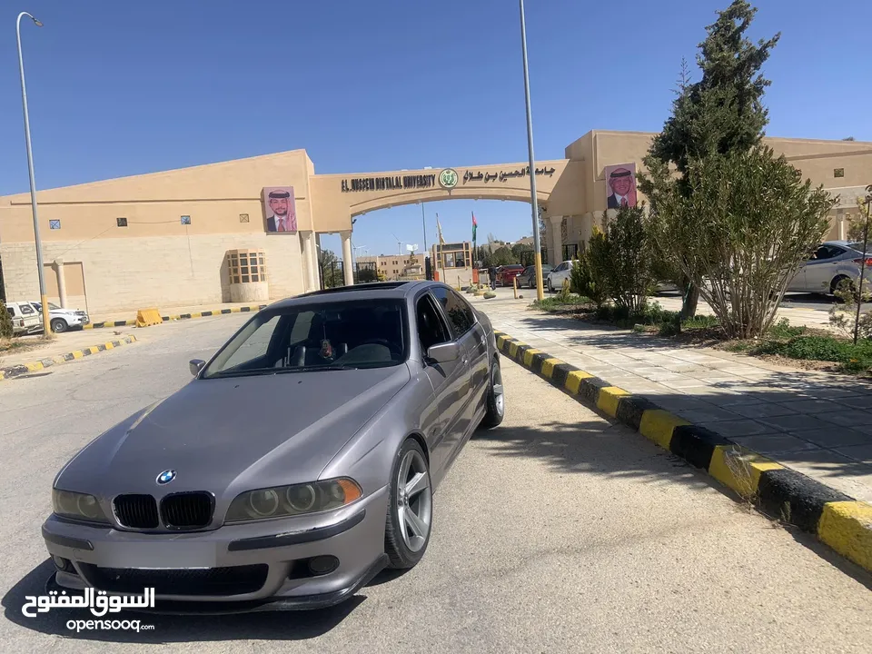 Bmw e39 الدب