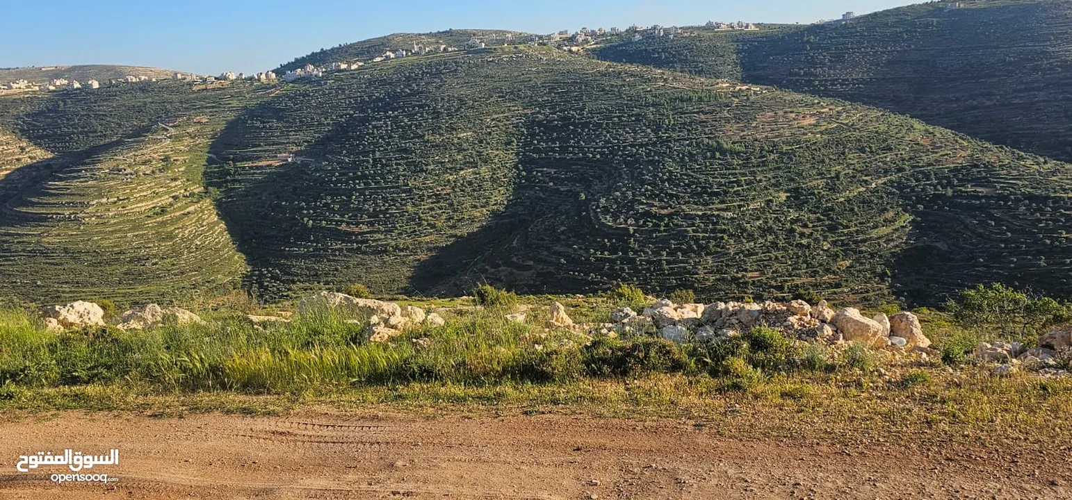 قطعة أرض للبيع من أراضي بلدة سنجل منطقة غرابة، مطلة على الساحل، منطقة A، قوشان طابو سلطة مستقل