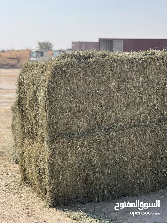 RHODES GRASS HAY