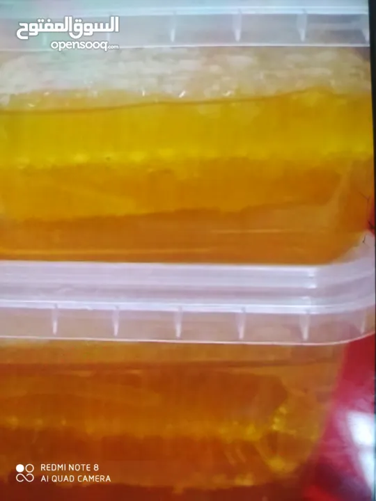 عسل فلسطين الجبلي