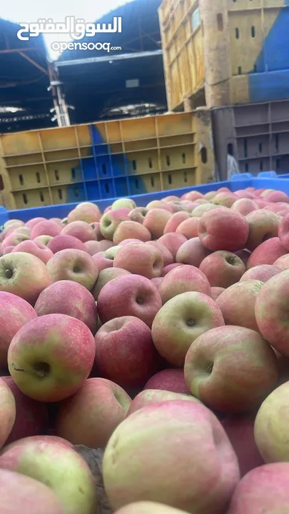 مشروع تجاري مربح بحاجه لتمويل