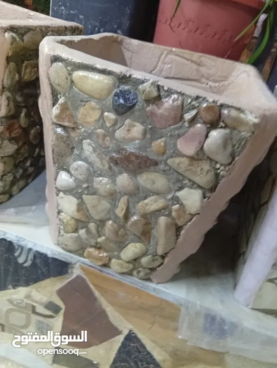 احواض زريعه اسمنتيه قابله للبدل على طيور