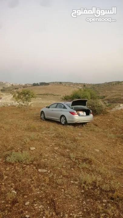 سوناتا للبيع