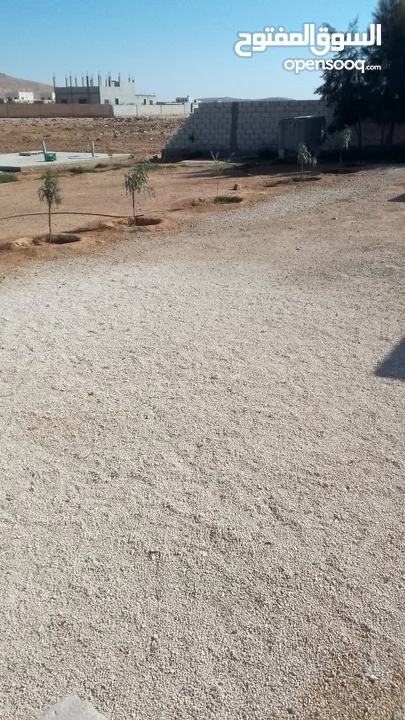 بيت عدد 2 مسطح كل بيت 100م مساحة الارض 2 دونم