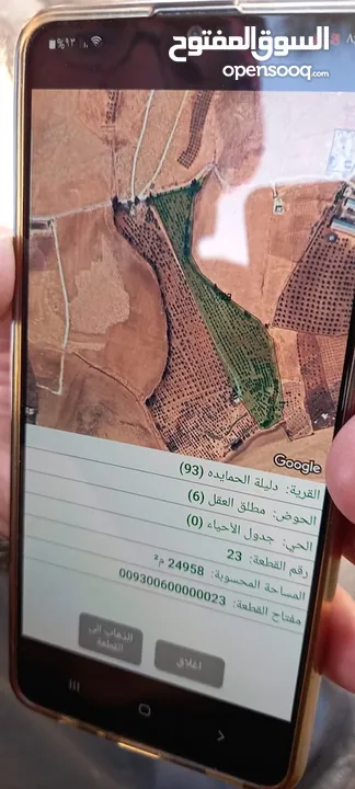 مزرعة زيتون للبيع
