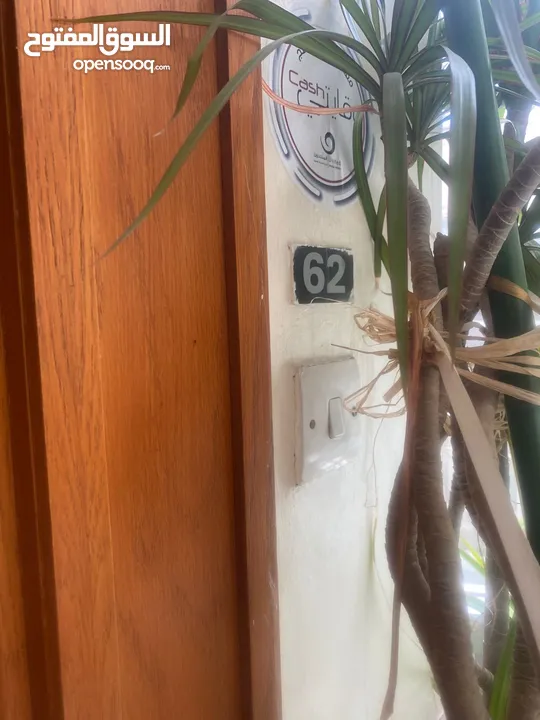 عيادة عدد 2 مفتوحين على بعض للبيع في الخالدي - REF : 45011