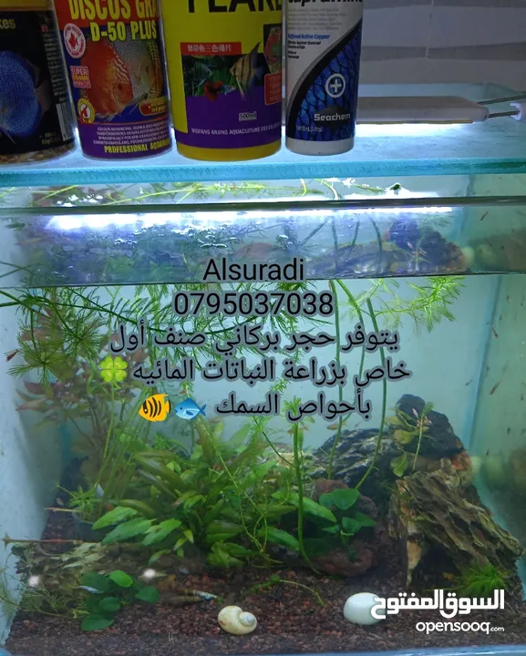 رمل سيلكا  توف بركاني  كوارتز  كسر رخام احجار وصخور مميزه سكيب احواض سمك