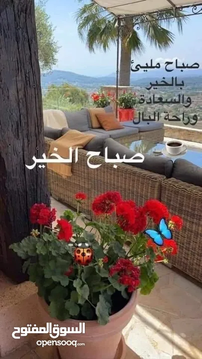 شقة سكنية في منطقة مميزه