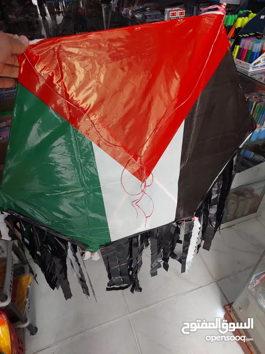 طبق طيارة طائرة طيارات شعبية