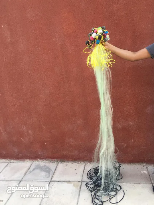 شبكة وسنارة