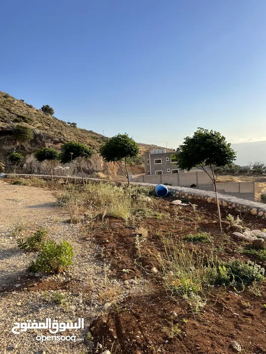 مزرعة في مغاريب السلط من المالك مباشرة