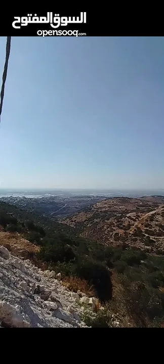 ارض تصلح لبناء شاليه للبيع في منطقة بلعا