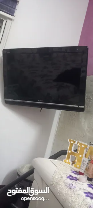 شاشتين شارب