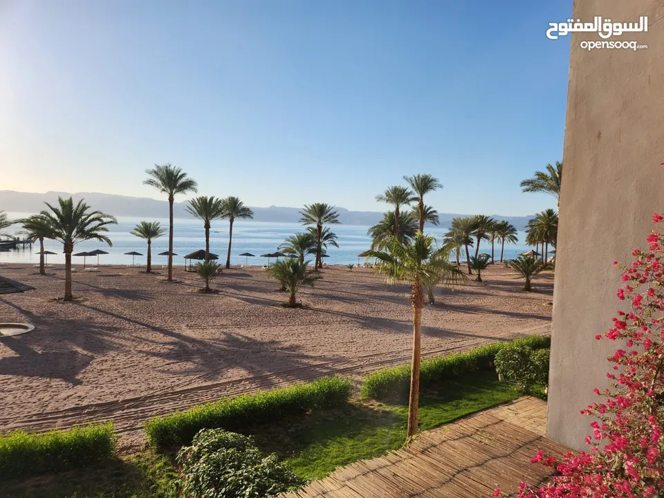 Talabay Apartments for rent  شقق تالابي العقبة للإيجار على البحر و البرك مباشرة