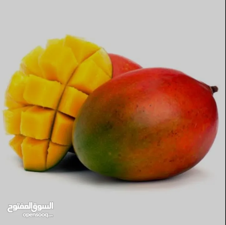 مشروع استيراد الفاكهة والخضروات