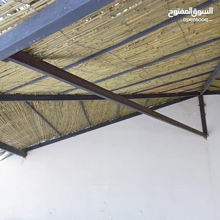 قصيب أخضر واصفر لتزيين الحدائق والمنتزهات والجلسات الخارجيه والاطلالات والمشاتل