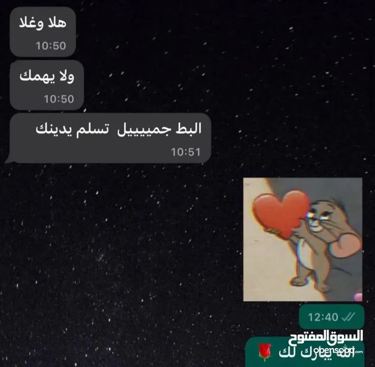 كتاكيت بط صغيرة  (( متجر الكتكوت الصغير ) )