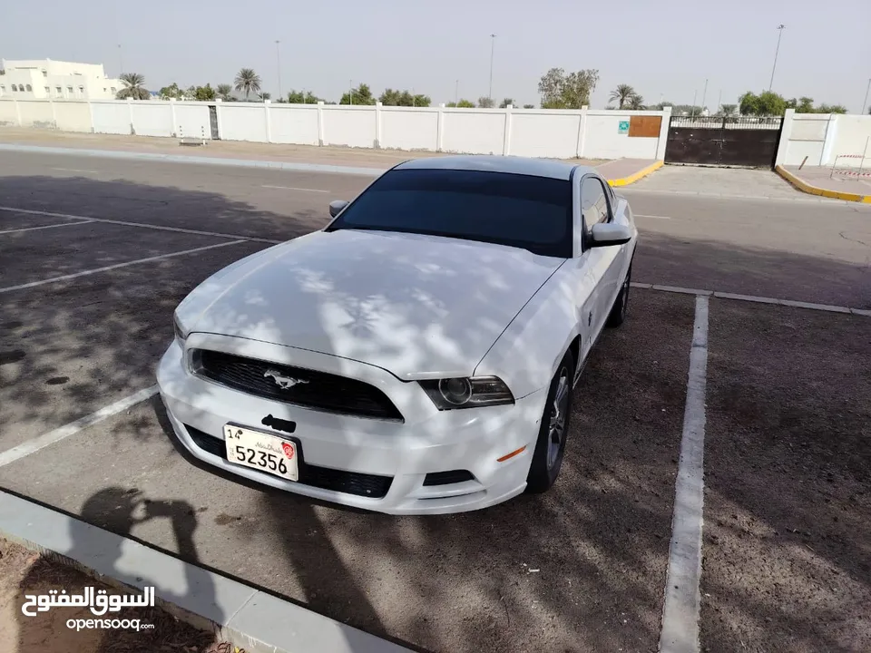 mustang 2014 6v shelby