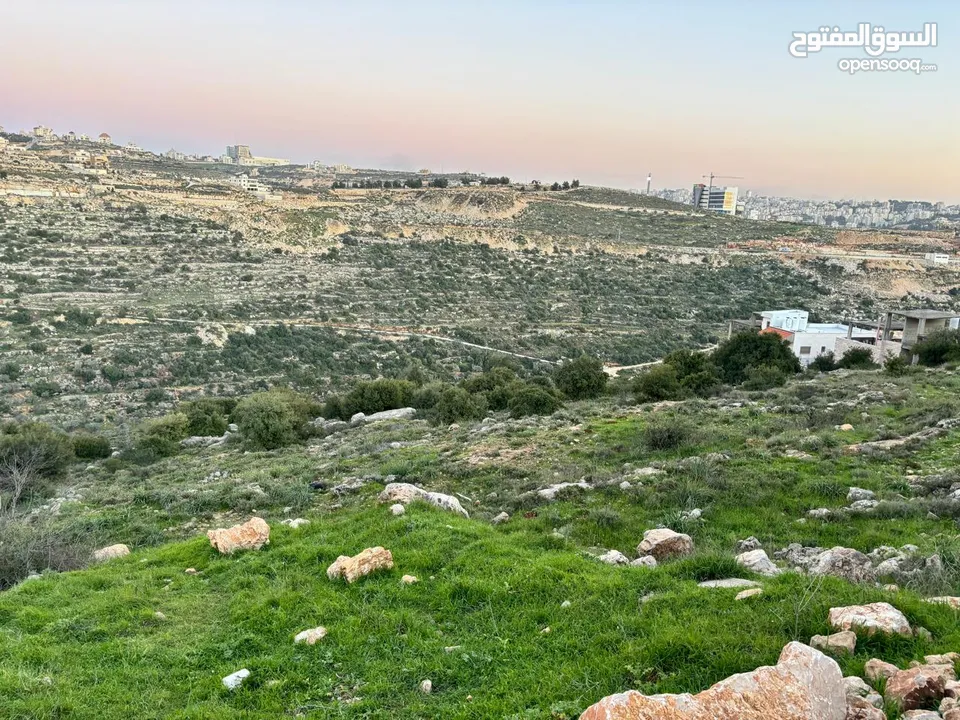 ارض للبيع - تصنيف سكني - مقابل الريحان - وبسعر مغري جدا