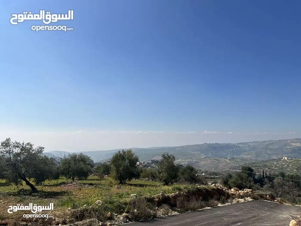ارض للبيع في بدر الجديدة دونم عاليه جداً اطلاله بانورامية كاشفة فلسطين والسلط منطقة فلل
