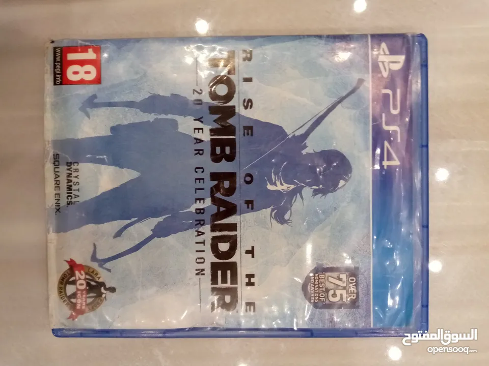 the rise of the tomb raider