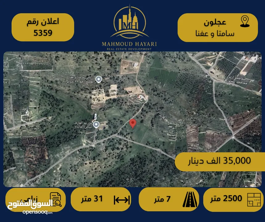 رقم الإعلان: (5359) قطعة أرض زراعية مميزة في عجلون – منطقة سامتا وعفنا