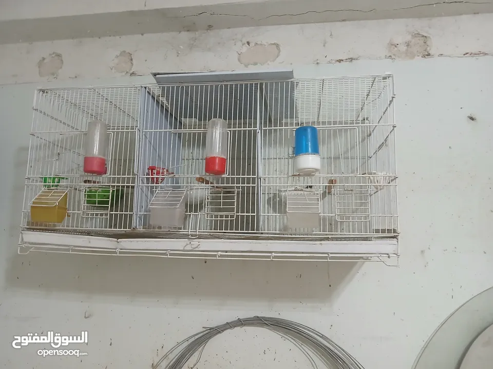 مطاير للبيع