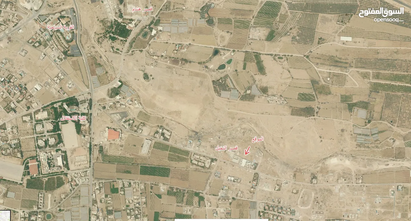 دونم ارض خلف قصر النخيل - كوشان طابو