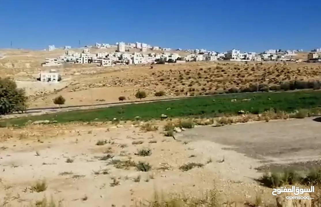 أرض مميزه جدا للبيع بشفا بدران بسعر ممتااااز