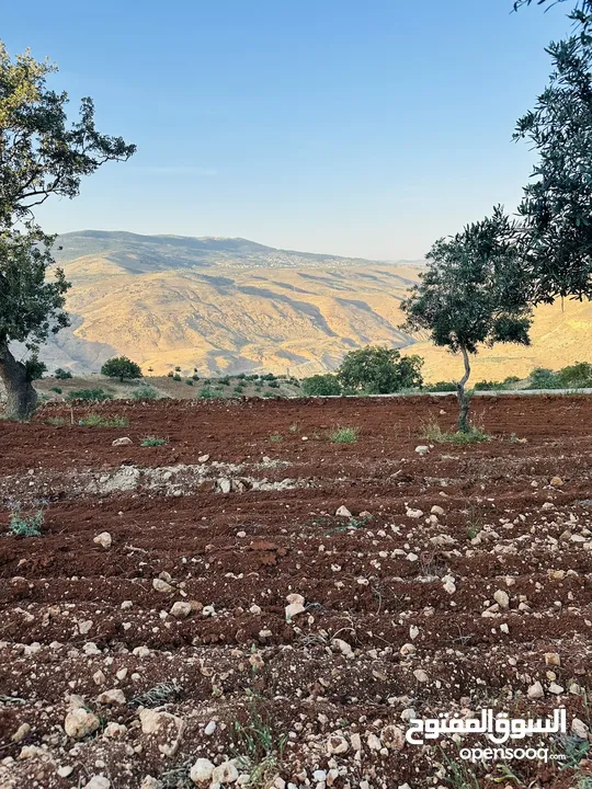 أرض مميزه _الصبيحي _ بيوضه الشماليه