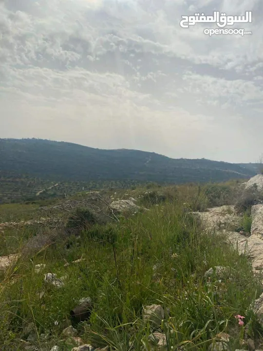 اطلالة مرتفعةطبيعية، على الشارع مباشرة، دير السودان، تصنيف الف - 900 متر و 1500 متر