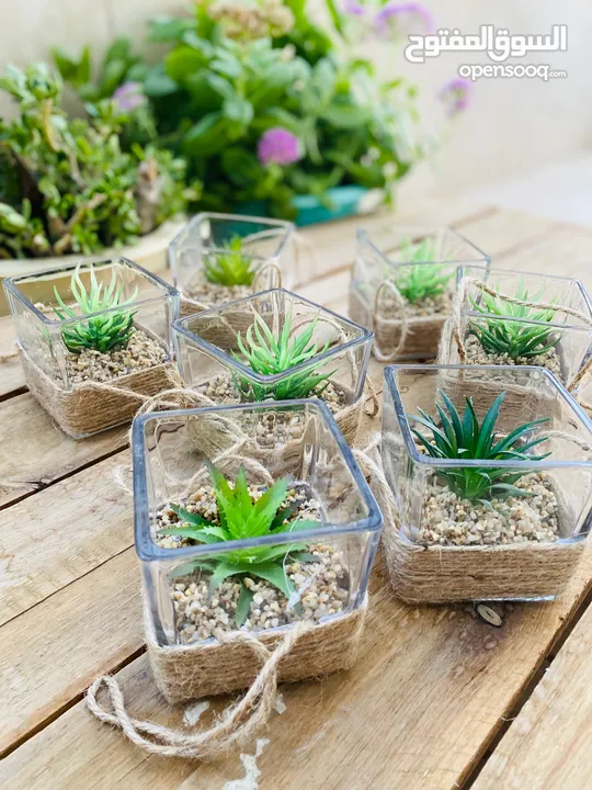 توزيعات هدايا