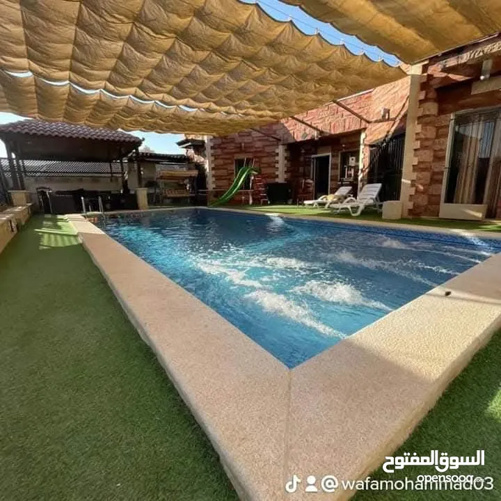 مزرعة للايجار اليومي  في الغور منطقه الجوفه بأسعار مناسبة وبدأت حجوزات عيد الاضحى المبارك