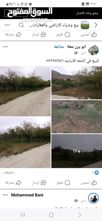 ارض للبيع في الحمه الاردنيه مزروع جوافه وكل انواع الحمضيات بثلاثه قواشين مستقلات ومتلاصقات لمالك واح