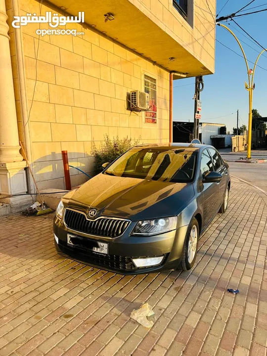 محمد ربيع .ابو ضياء.