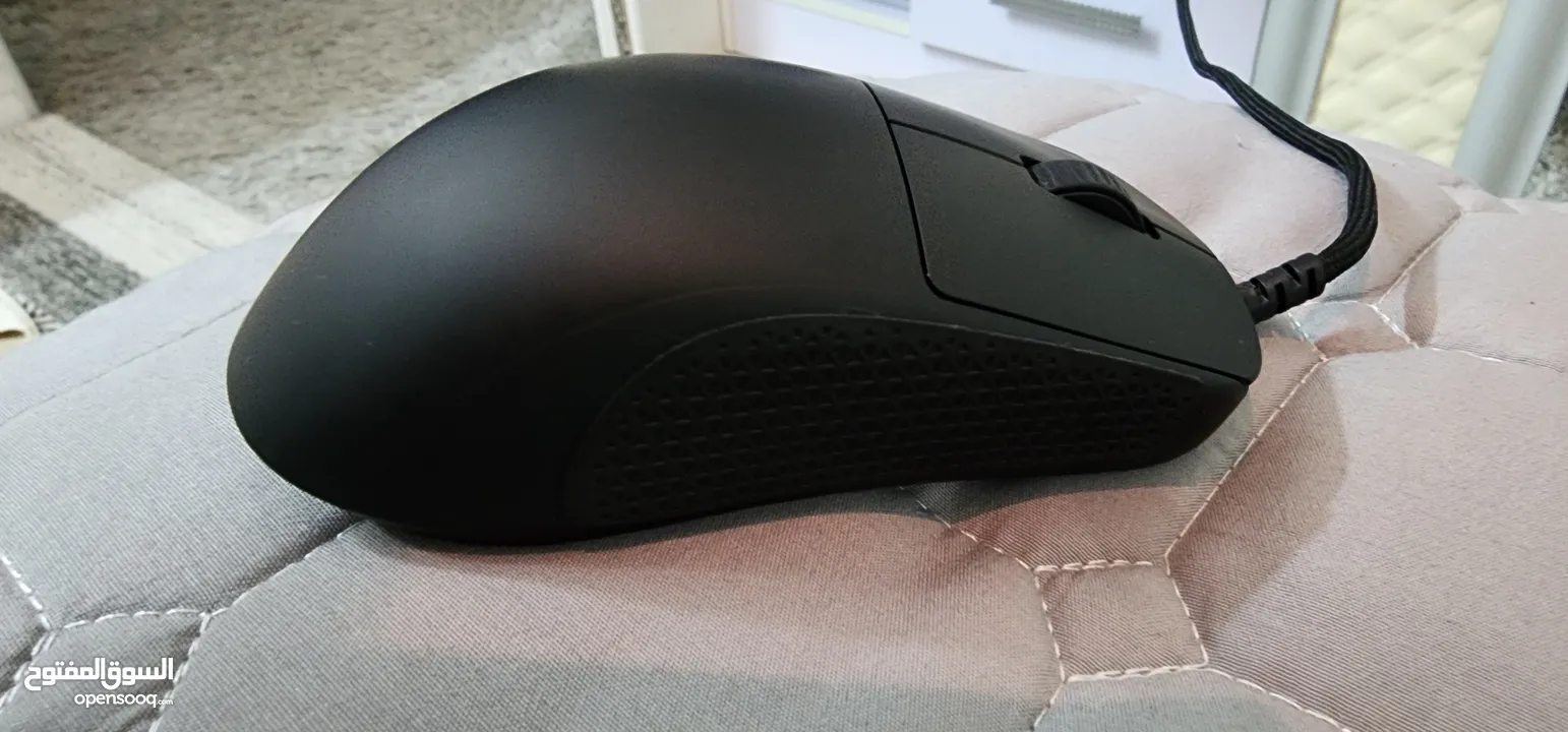 endgame gear op1 8k / Razer cobra