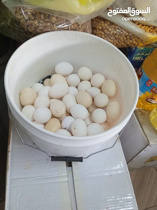 منتجات بلديه