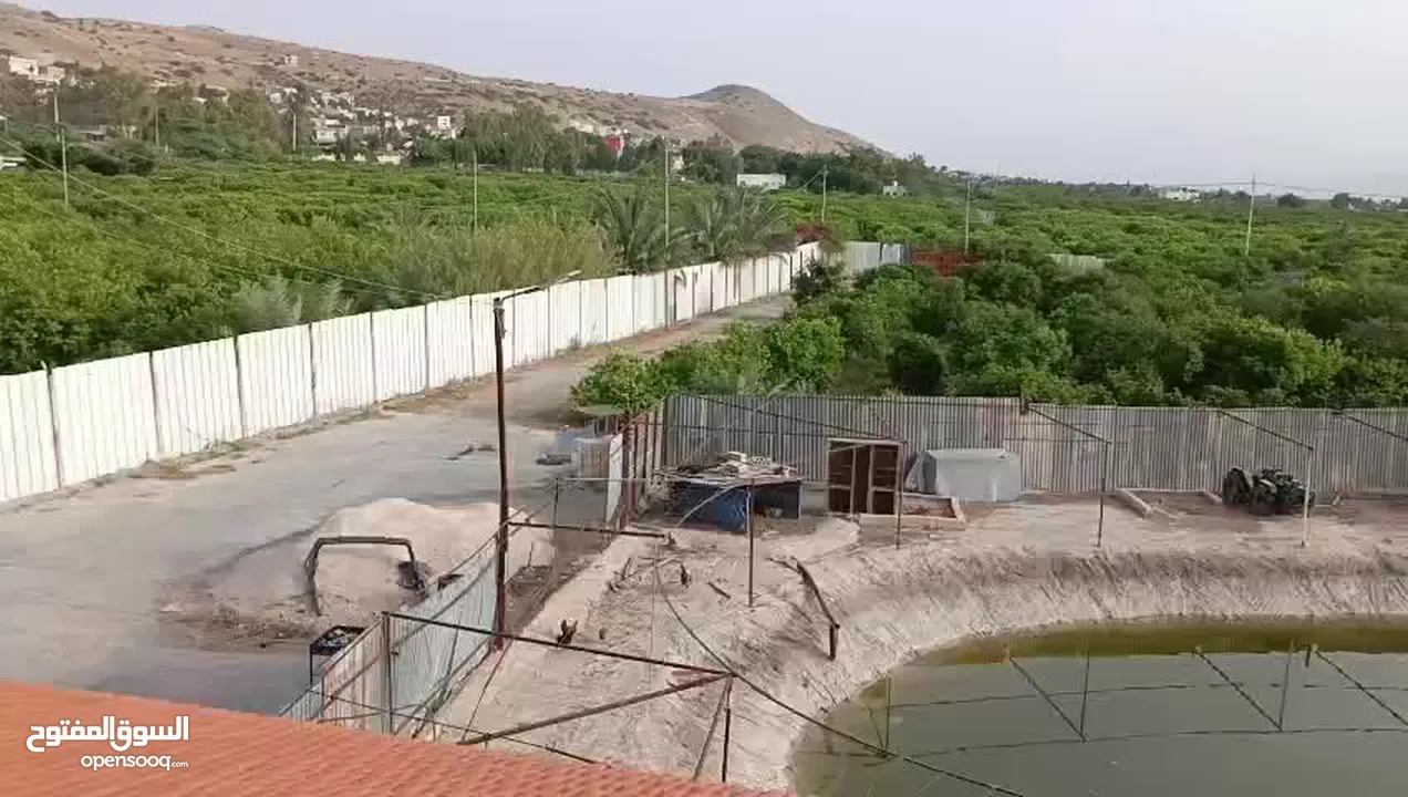 مزرعه مثمره للبيع