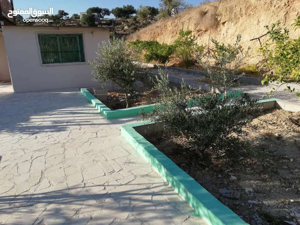 مزرعه للبيع