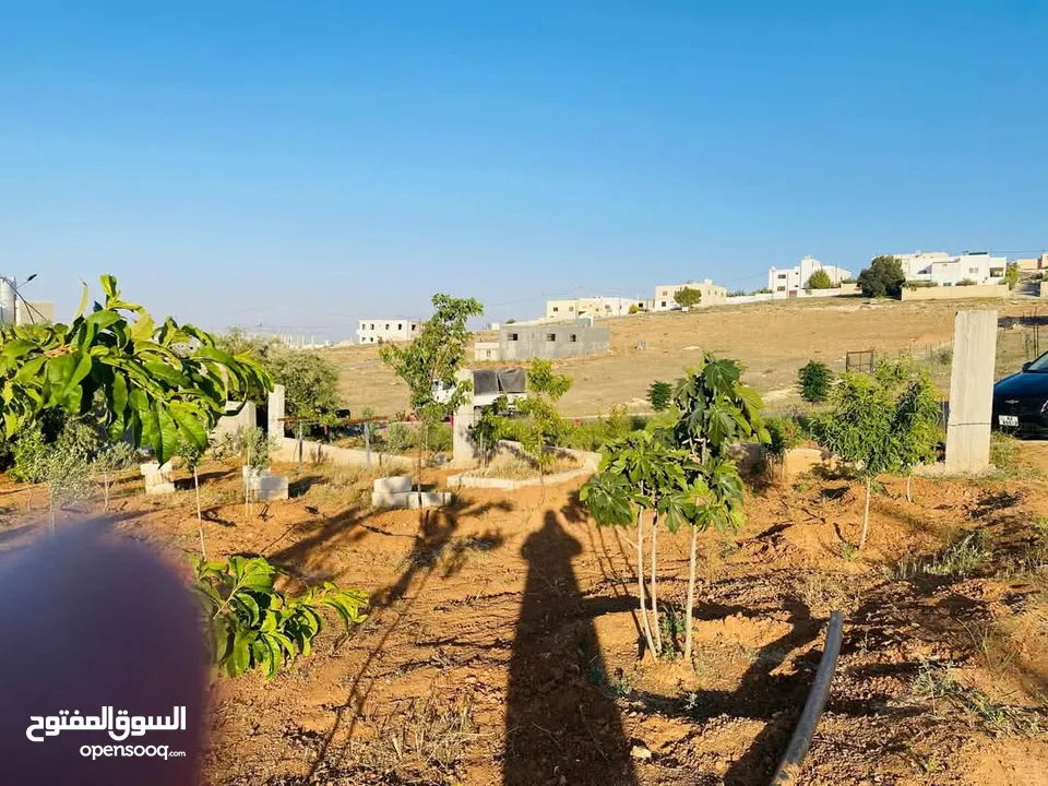 دونم أرض مع بناء 90م في منشيه بني حسن